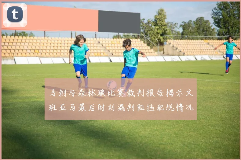 马刺与森林狼比赛裁判报告揭示文班亚马最后时刻漏判阻挡犯规情况